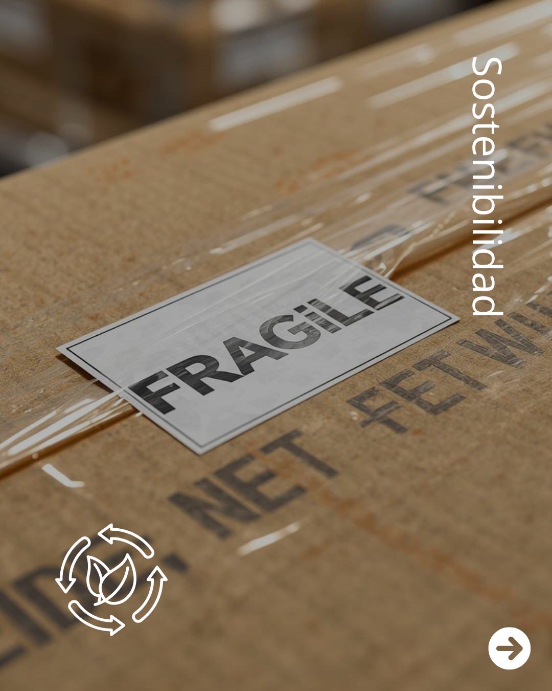 soluciones embalaje parabrisas